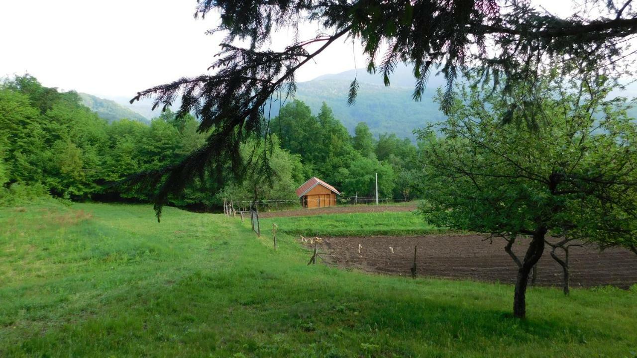 Robinzonski Turizam "Robin' S Hood" Skrad Dış mekan fotoğraf